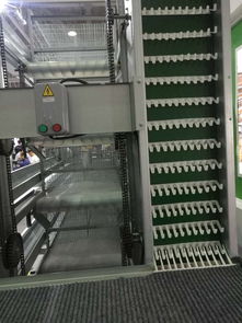 常虹自動化撿蛋機 集蛋器 系統(tǒng)匯總